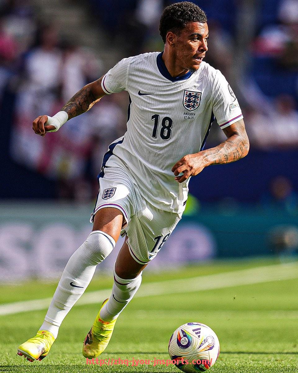 jiuyou九游娱乐-法甲球队转会新闻：各大球队的转会更新