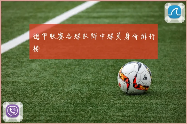 德甲联赛各球队阵中球员身价排行榜